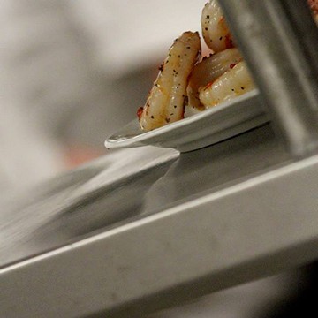 shrimp